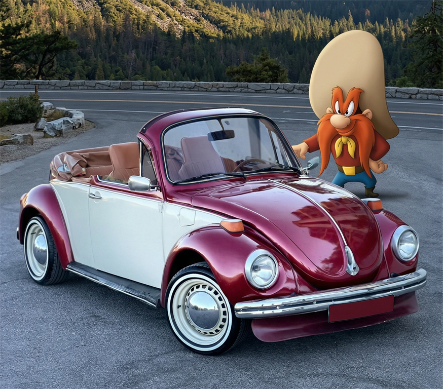 gelin arabası kiralama hizmetleri vosvos düğün arabası fotoğrafları 